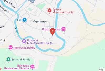 Vanzari teren intravilan in Bamfy, toplita, - 1