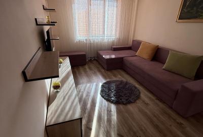 Apartament 2 camere Lujerului - 2