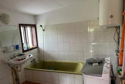 Amarasti Nemoiu in apropiere de Dragasani si Valcea - 3