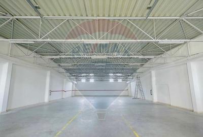 De vânzare Spațiu industrial de 10 129 mp, Șoseaua Borșului - 16