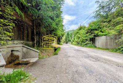 Cabană – Mureș – Sălard – Zona Pensiunea Denisa - 23