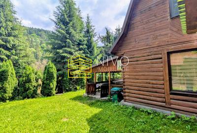 Cabană – Mureș – Sălard – Zona Pensiunea Denisa - 4