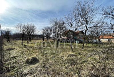 Teren autorizabil la preț foarte bun Chinteni - 2