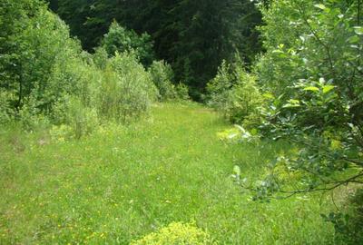 Proprietar vand teren in Predeal langa Complex Belvedere-Verona- Eden-comision 0 - 10
