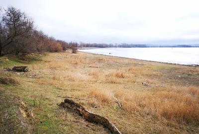Vând teren agricol  2 ha cu deschidere la Dunăre - 7