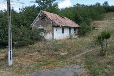 Teren intravilan de 2593 mp, pe deal, cu vedere catre sat, in Murani - 3