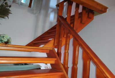 Proprietate de vacanta Valea Oltului - BREZOI - 11