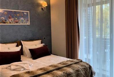 Apartament deosebit cu trei camere Silver Mountain - 6