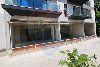Spațiu comercial de 274.35mp de închiriat în zona Teiul Doamnei - 4