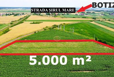 Teren extravilan - 5.000 m² in Botiz | 3 km de Satu Mare - 3