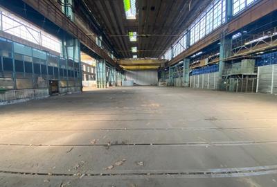 Spatiu industrial, 19900 mp, pod rulant 50 tone, zona Craiova Est - 2