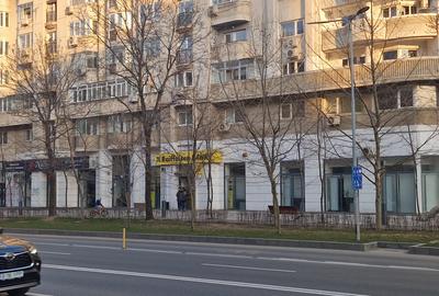 DECEBAL-- Alba Iulia 230 mp -PRET 5.000 EURO - 4
