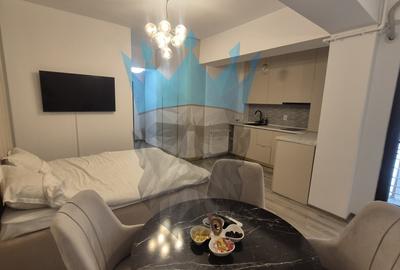 Garsoniera New City Residence Piata Muncii Bucuresti - 2