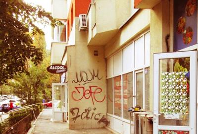 Inchiriere spatiu comercial Teiul Doamnei - 74mp - 12