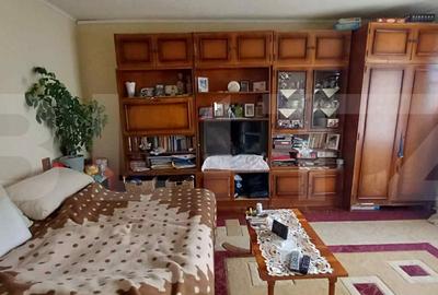 Casă individuală cu 2 camere în Titulescu