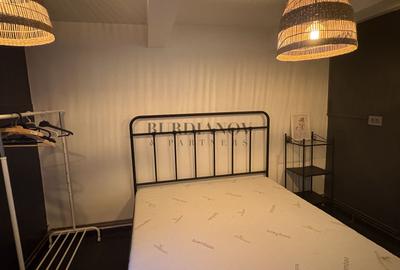 Apartament cu 2 camere in vila la demisol - Zona Kiseleff - 8