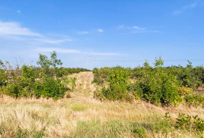 Parcele Teren Extravilan Livada si Pasune Lunca Corbului  Arges - 11