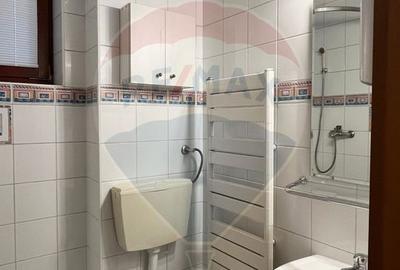 Apartament / Birou, 4 camere, Floreasca - Dorobanti, 163 mp + curte - 23