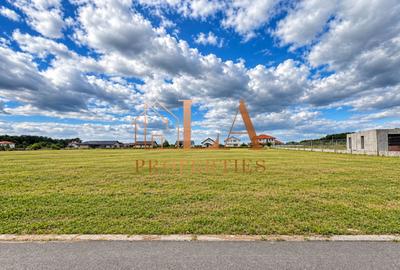 Teren intravilan 11900mp | 18 loturi | Snagov-Ciofliceni - 5