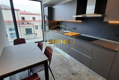 Primaverii, 4 room spacious, furnished apartment, large terrace, parking - 10