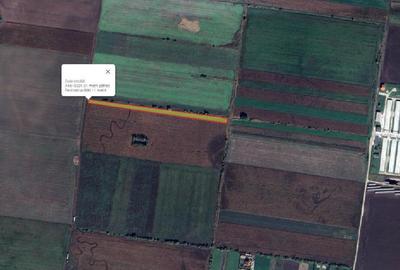 Teren agricol extravilan în Central