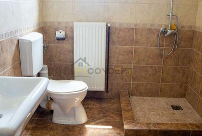 Vila spatioasa pt doua familii 10 camere Clinceni Monumentul Eroilor - 11