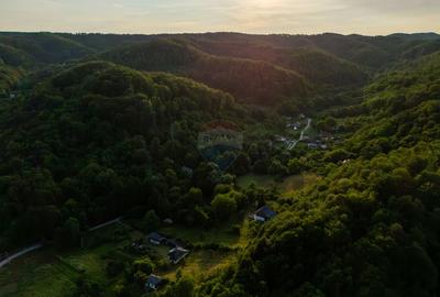 Casă de vânzare cu teren 2.340 mp și pârâu propriu — Bălilești, Argeș - 1