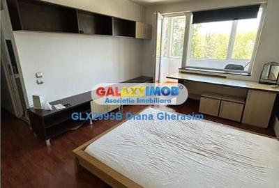 Garsoniera de inchiriat - Victoriei- Banu Manta - 1