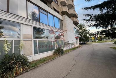 Spațiu comercial 820 mp de închiriat – Calea Aradului - 5