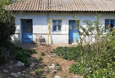 Teren intravilan 2562mp Loc 23 August | Ideal locuiță sau casă vacanță - 2