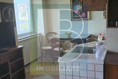 TINERETULUI STRADAL PARC, MOBILAT UTILAT COMPLET  BLACON MARE - 5