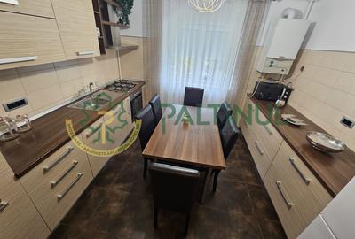 Apartament 2 camere de inchiriat, str. Lunga, Terezian, Sibiu - 6