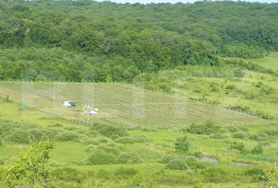 Teren agricol extravilan de 19300 mp, în Exterior Sud