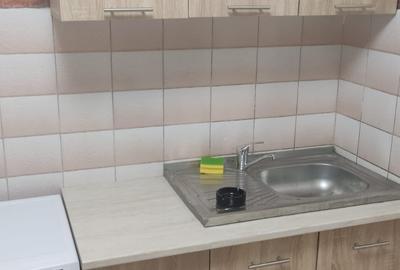 Berceni , 2 camere, etaj 4, PET FRIENDLY, 12 minute metrou - 8