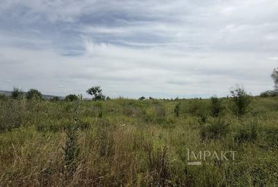 Teren agricol intravilan de 1306 mp, în Sopor