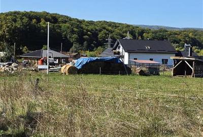 Teren intravilan - Sovata - Capeti - zona in plina expansiune imobiliara - 6