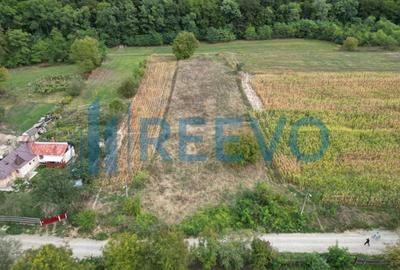 Teren intravilan lângă pădure, Racova - 5