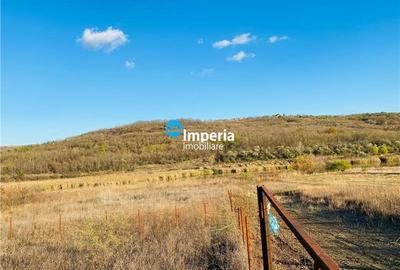 Teren intravilan de vanzare in Iasi, zona Sorogari,langa lac - 1