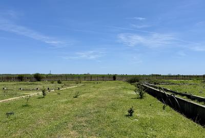 Teren intravilan pe partea cu Marea in zona Aerodrom TUZLA NIBIRU Costinesti - 18