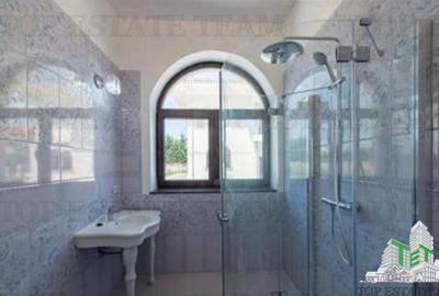 Casa de inchiriat in zona Sisesti - 11