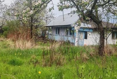 Teren Construcții intravilan de 3160 mp, în Poiana lui Alexa