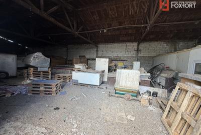 Depozit de vanzare cu suprafata utila de 450 mp - Ortisoara - 5
