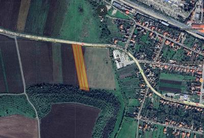 Teren Construcții intravilan de 11800 mp, în Sântandrei
