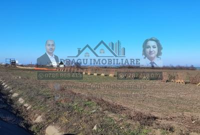 Teren agricol extravilan de 5000 mp, în Nord