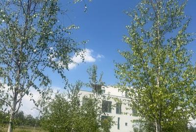 Apartament 3 camere / View Lac Grivita / 303 by Radacini / parcare inclusa - 19