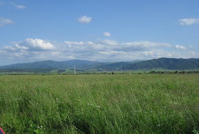 Teren agricol extravilan de 2600 mp, în Cristian