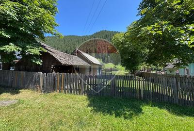 De vanzare | Teren 5412mp , Scoala Sabasa | Borca | Neamt - 3