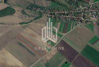 Teren extravilan | 19.000 mp | Ghidfalău - 2