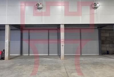 Inchiriere hala cu ISU zona Baciu  + platforma betonata 1.000mp - 7