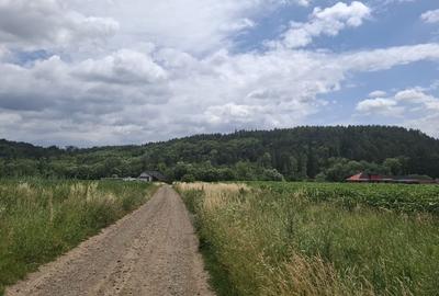 Se vinde teren de 5000mp, intr o zona foarte liniștită aproape de pădure - 1